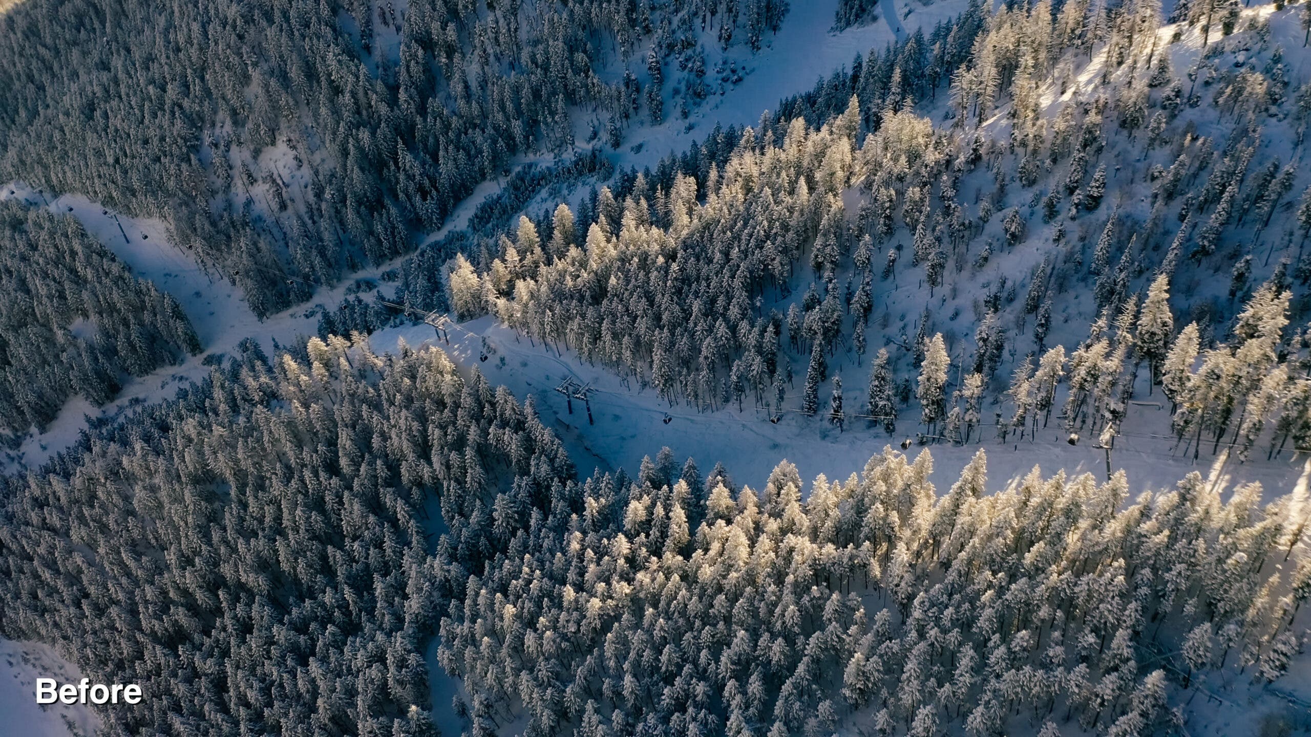 Aerial view of new gladed terrain at sun valley.